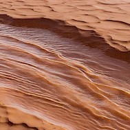 Illusztr&aacute;ci&oacute;: Shutterstock/AI