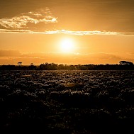 Photo by Eelco B&ouml;htlingk on Unsplash