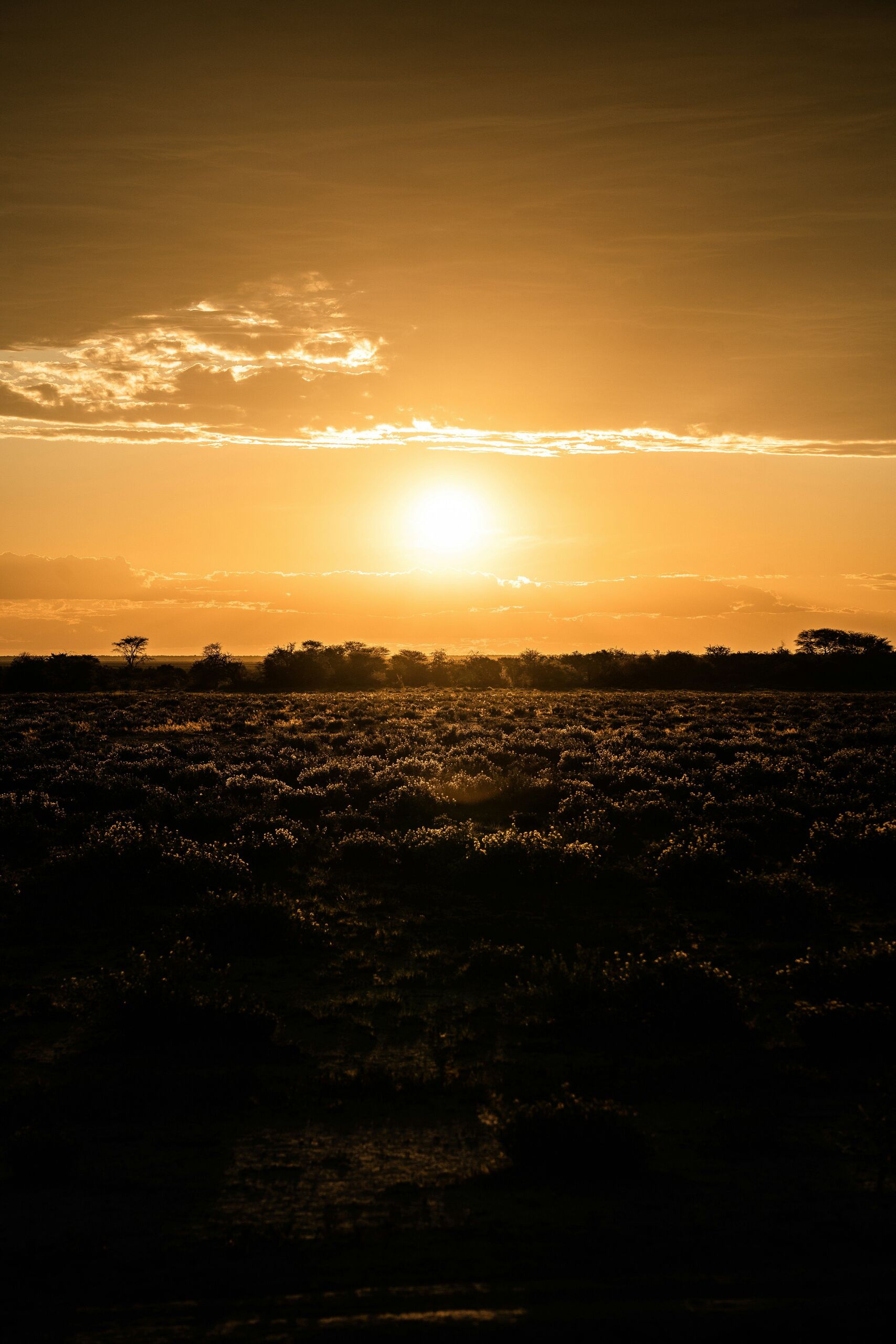 Photo by Eelco Böhtlingk on Unsplash