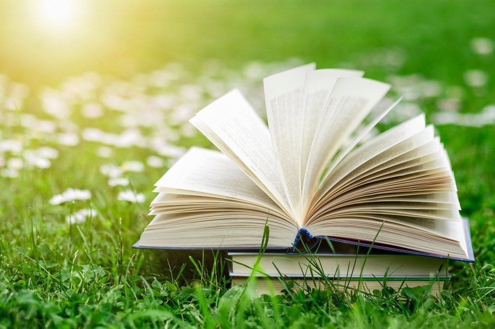 Fotó: Mariana Serdynska/Shutterstock