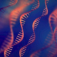 nobeastsofierce/Shutterstock