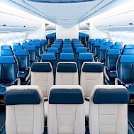 Matheus Obst/shutterstock