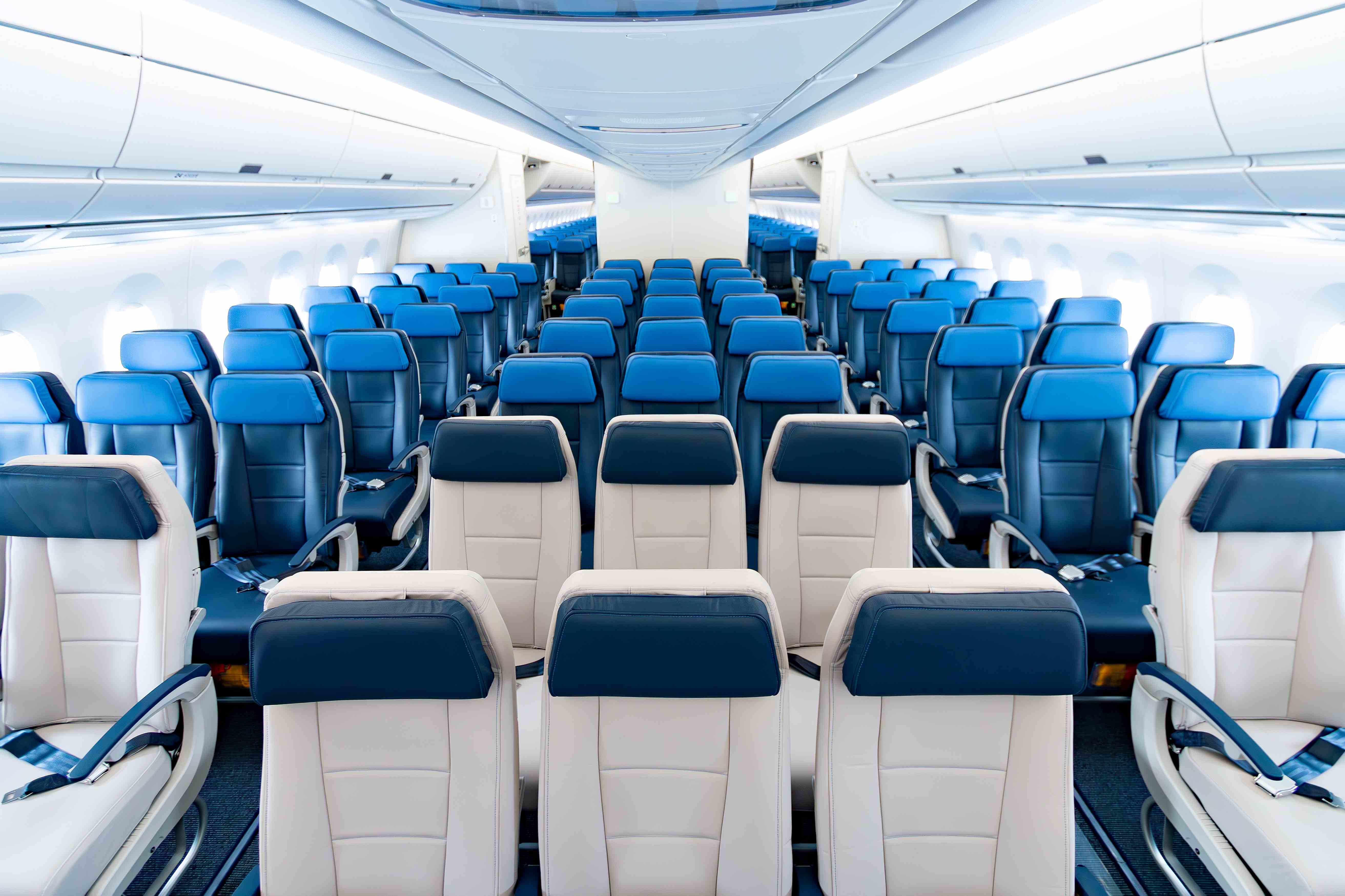 Matheus Obst/shutterstock