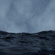 Mr and Mrs Tkachuk/Shutterstock