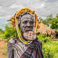 Nick Fox / Shutterstock.com