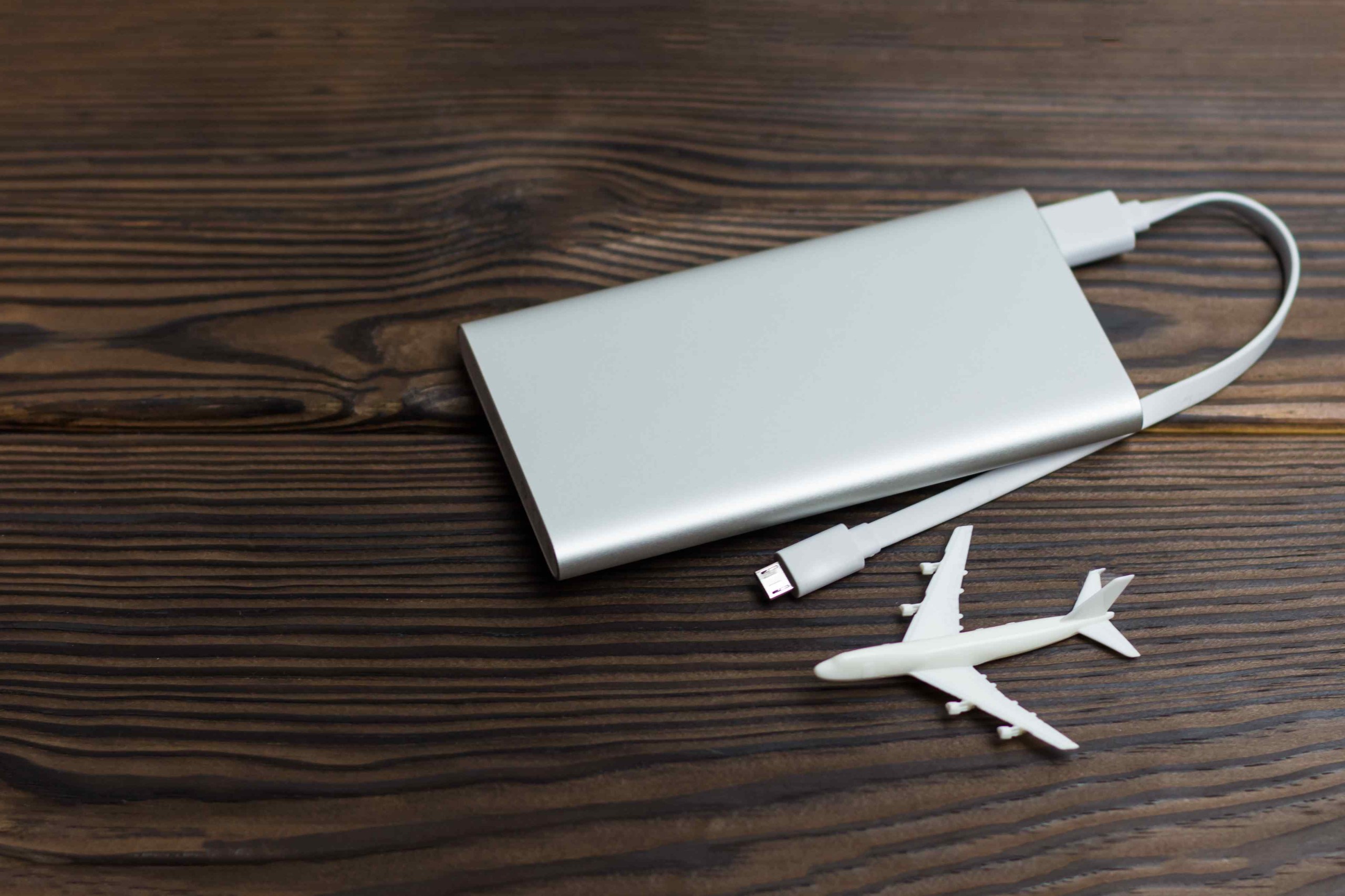 Viktoriia Adamchuk/Shutterstock.com