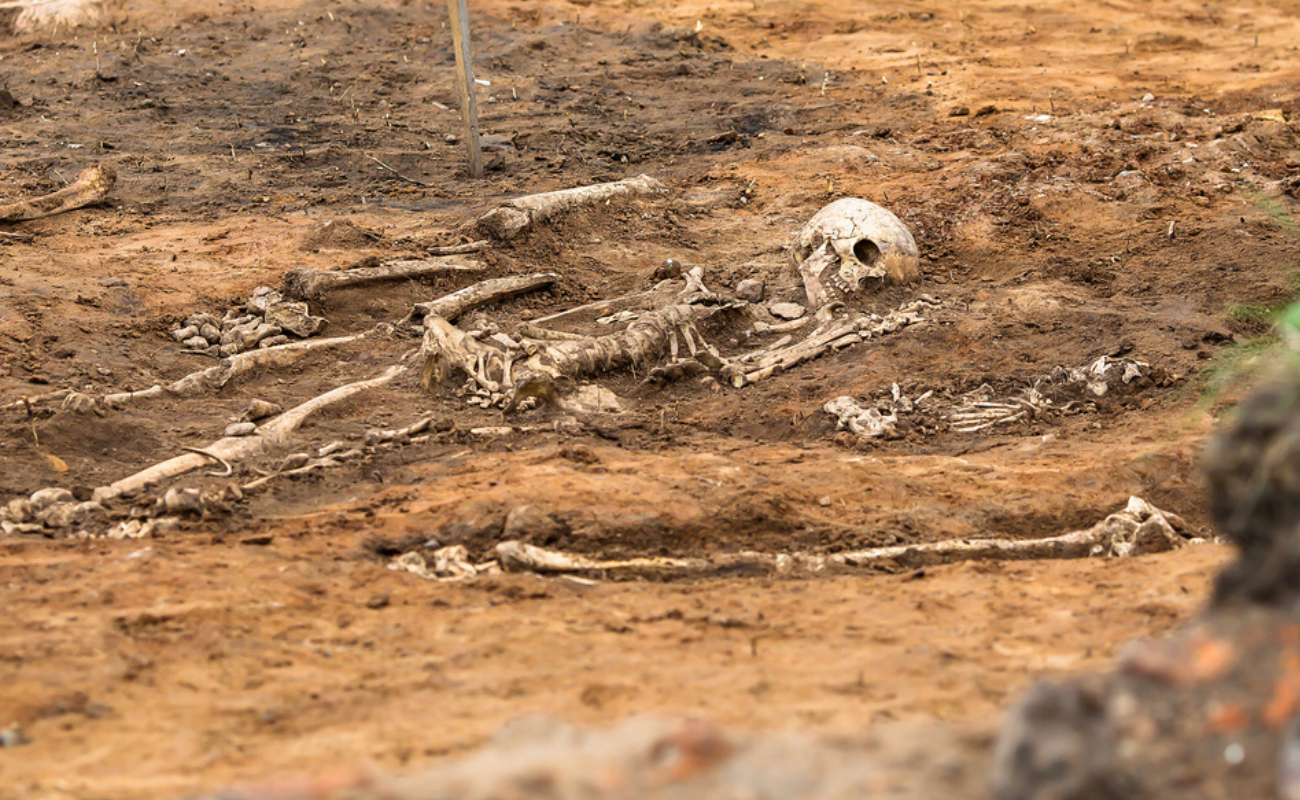 PhotoJuli86/Shutterstock