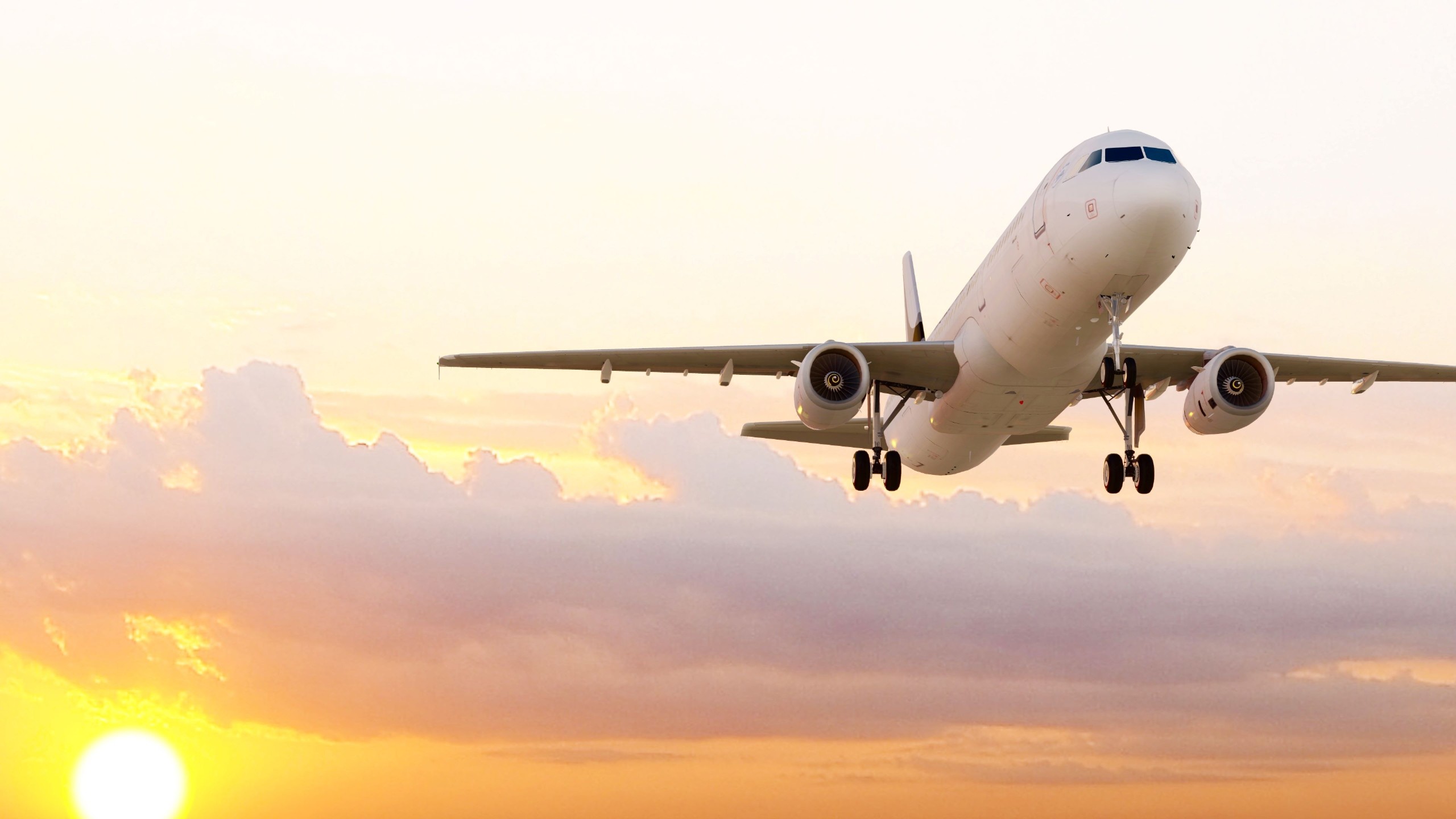 ShutterDesigner/Shutterstock.com