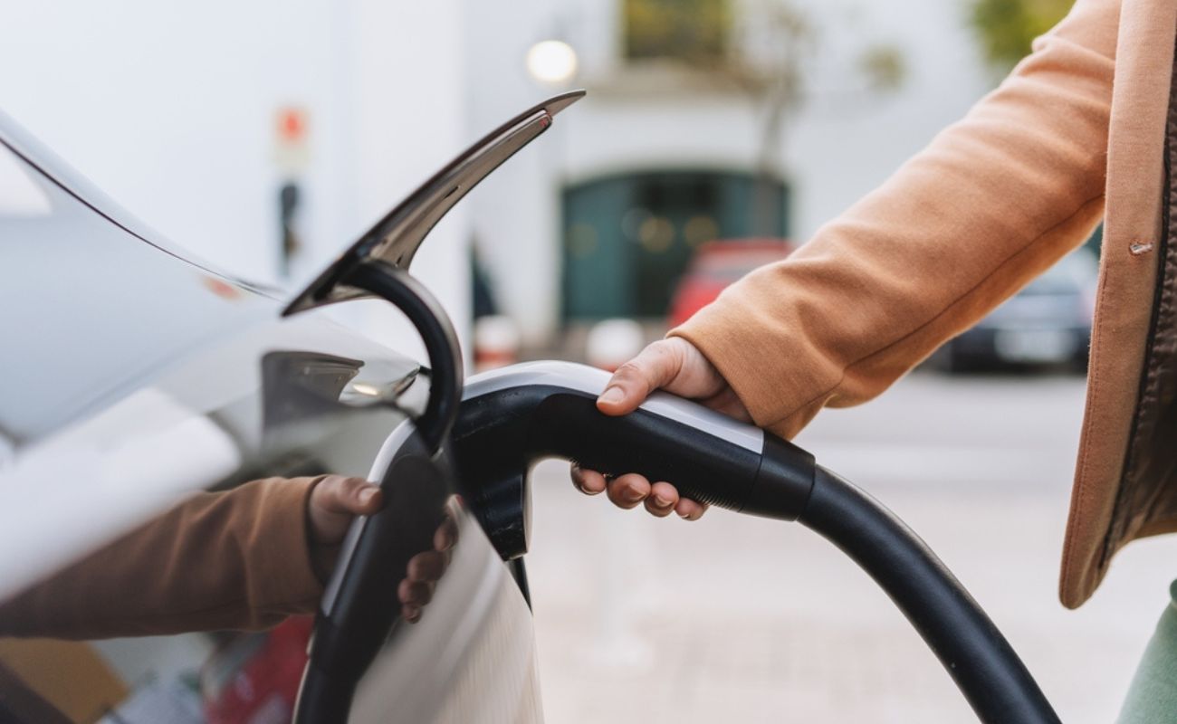 Marti Rossello/Shutterstock