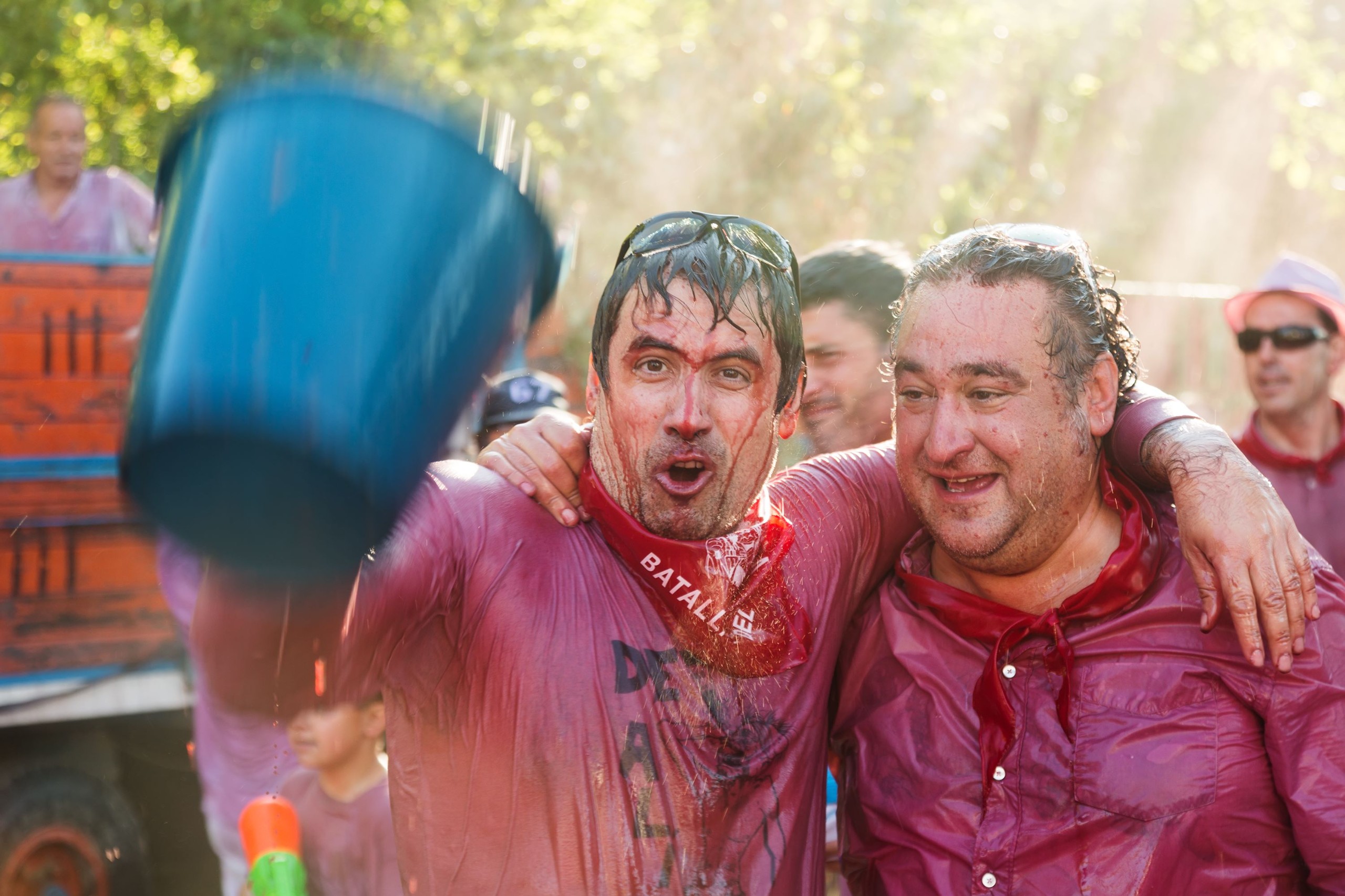 BearFotos / Shutterstock.com