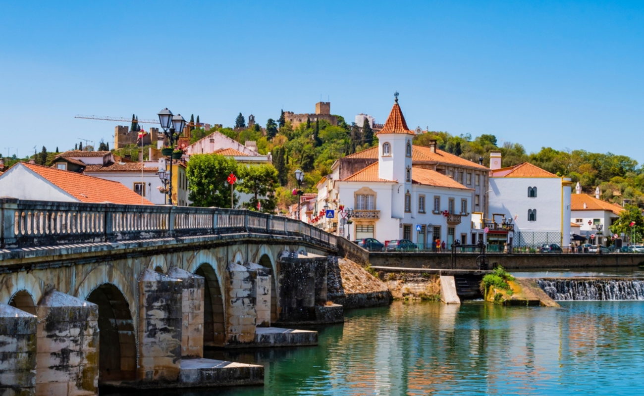 ScottYellox/Shutterstock