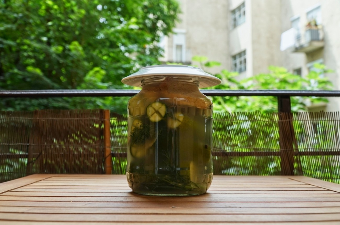 csikiphoto/Shutterstock