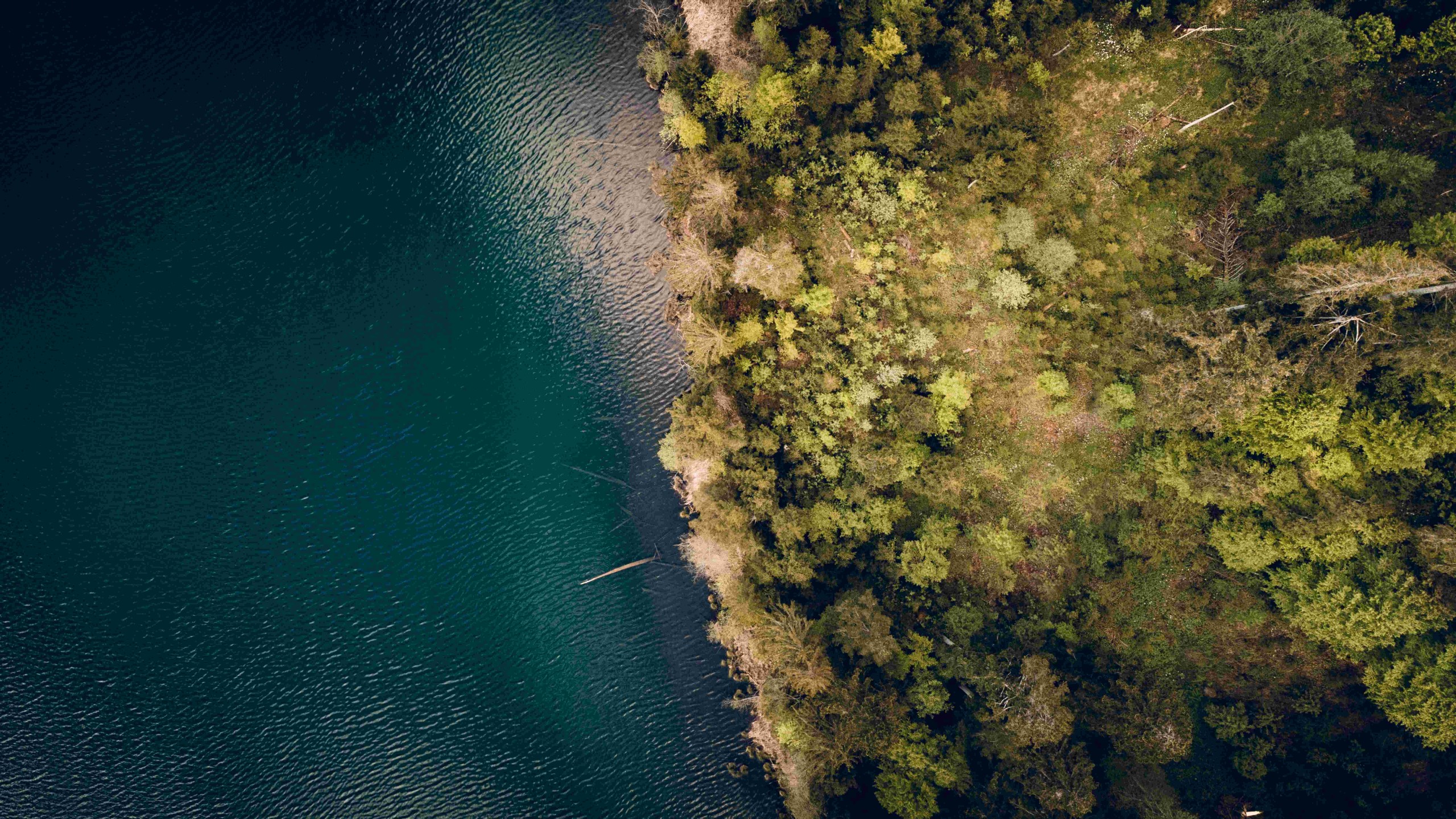 aBSicht/Shutterstock.com