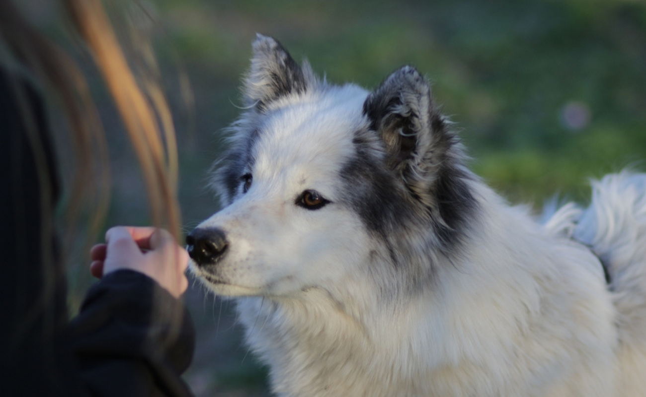 Marco Malz/Shutterstock