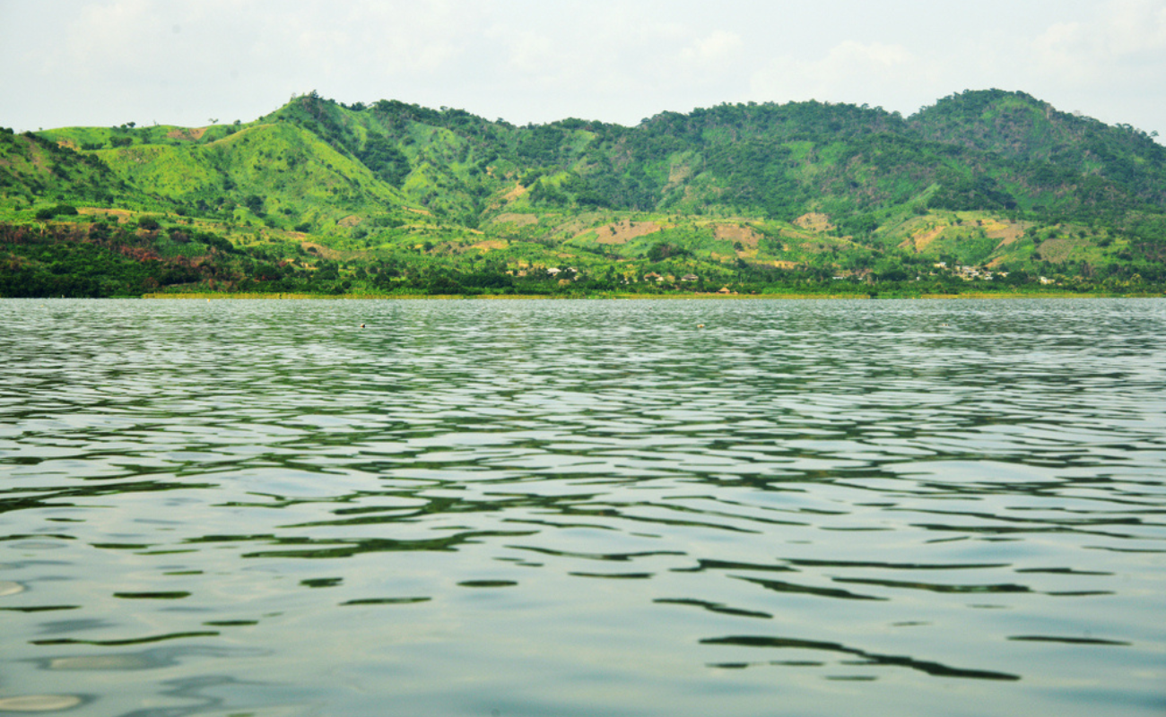 DreamBig/Shutterstock