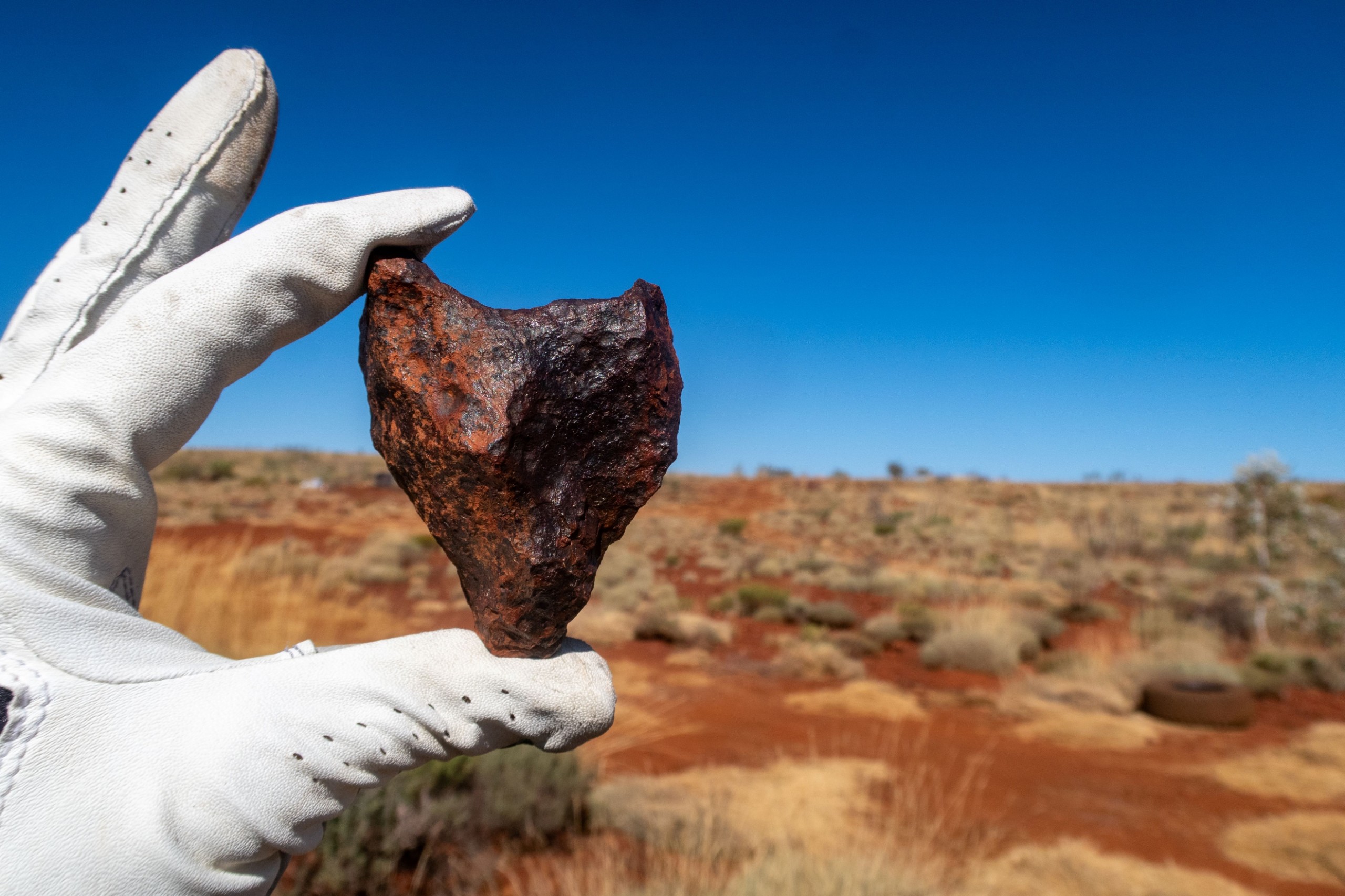 Marina Kryuchina/Shutterstock