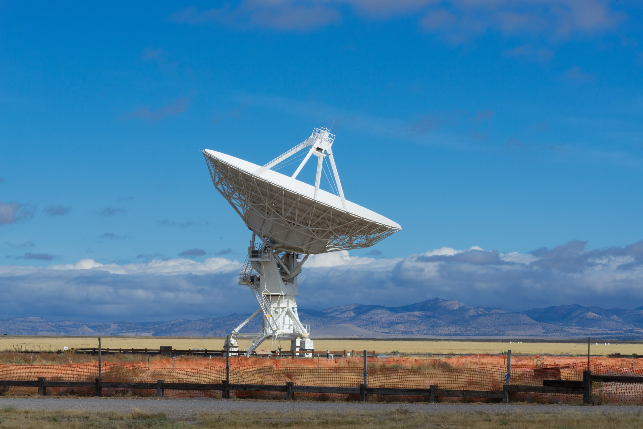 Georgi Baird/Shutterstock