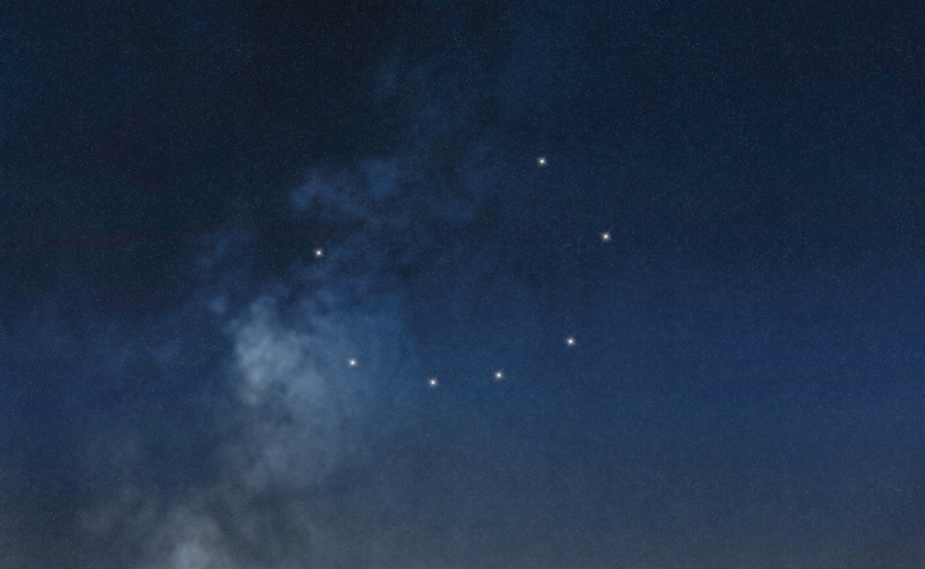 Allexxandar/Shutterstock