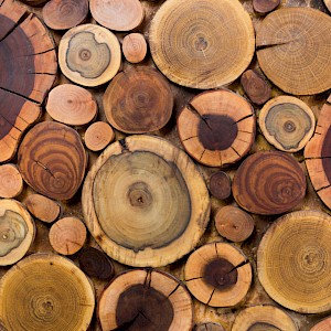 Bilanol/Shutterstock