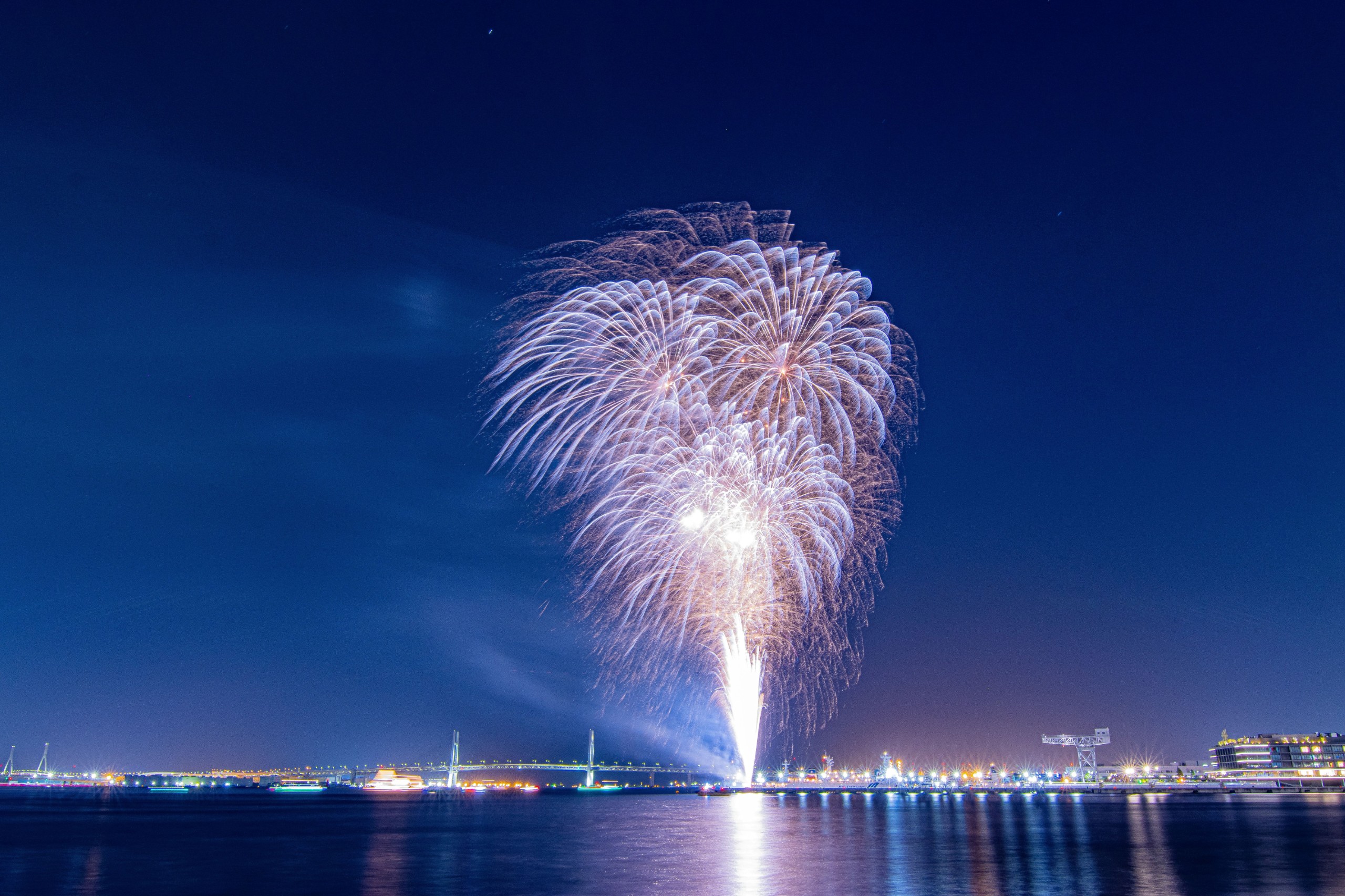 fun_yamagata/Shutterstock