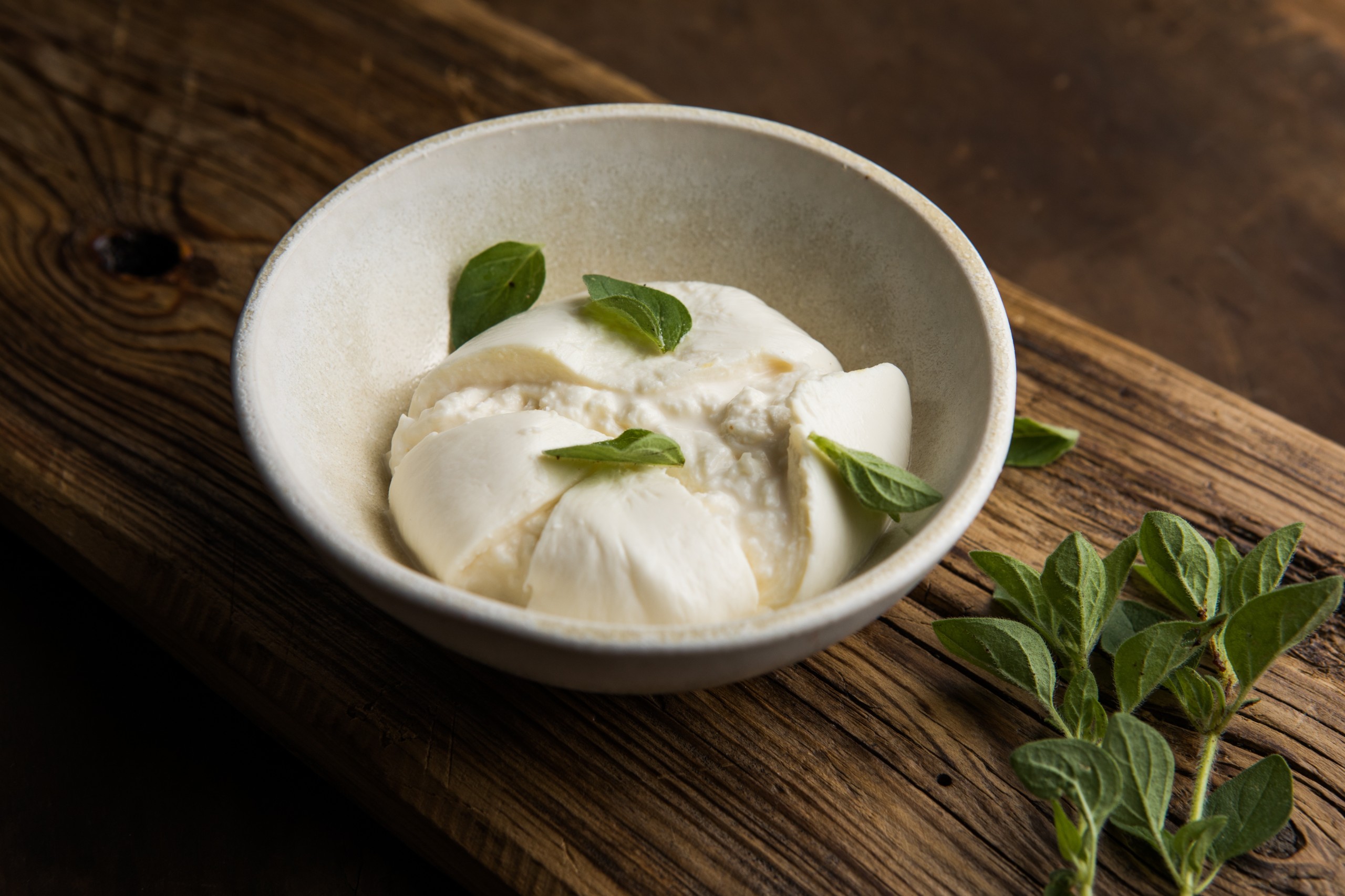 Sokor Space/Shutterstock