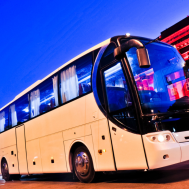 Vipavlenkoff/Shutterstock