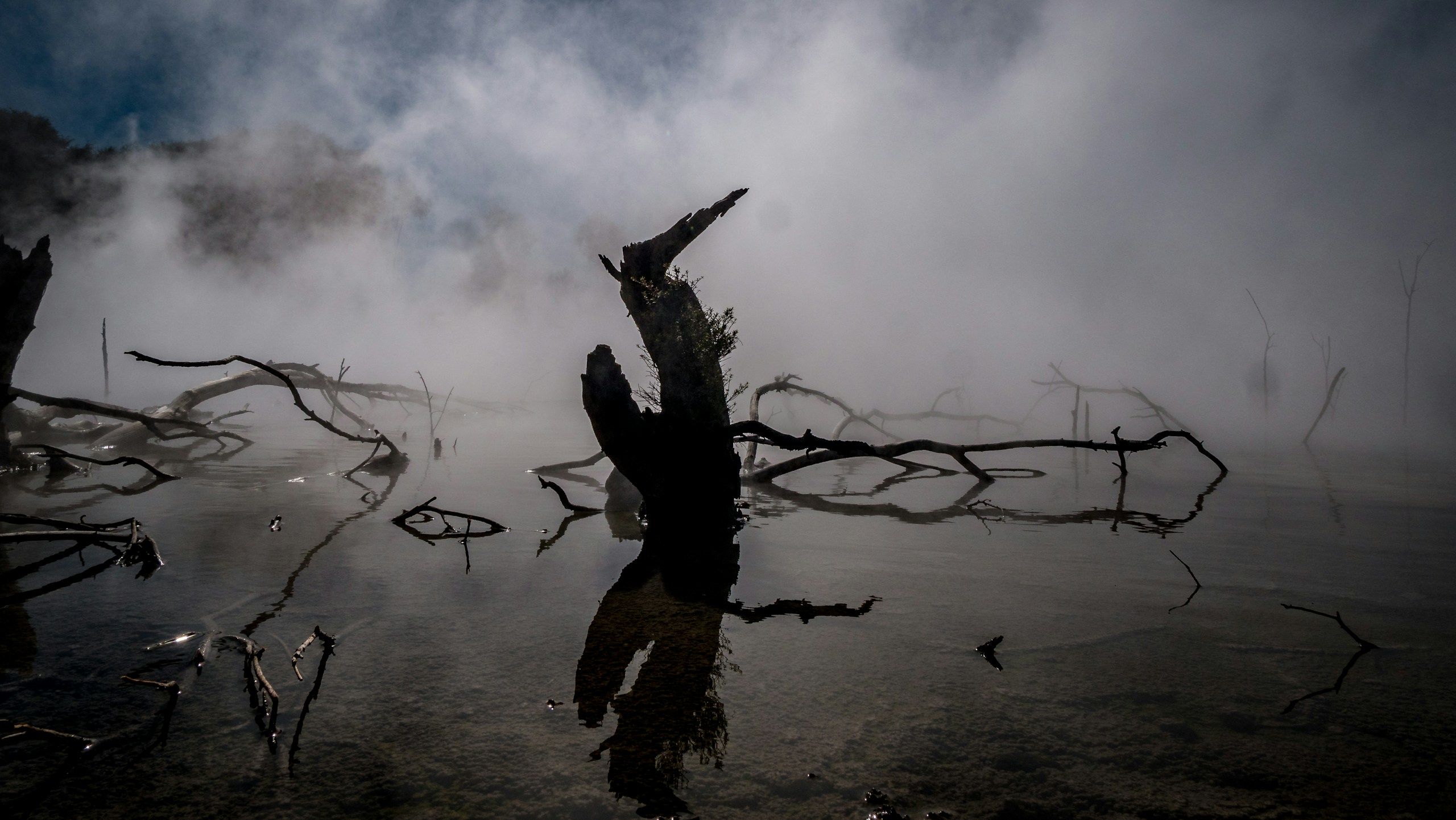 leyvaine Davids/Unsplash