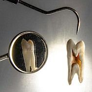 Ozkan Guner/Unsplash