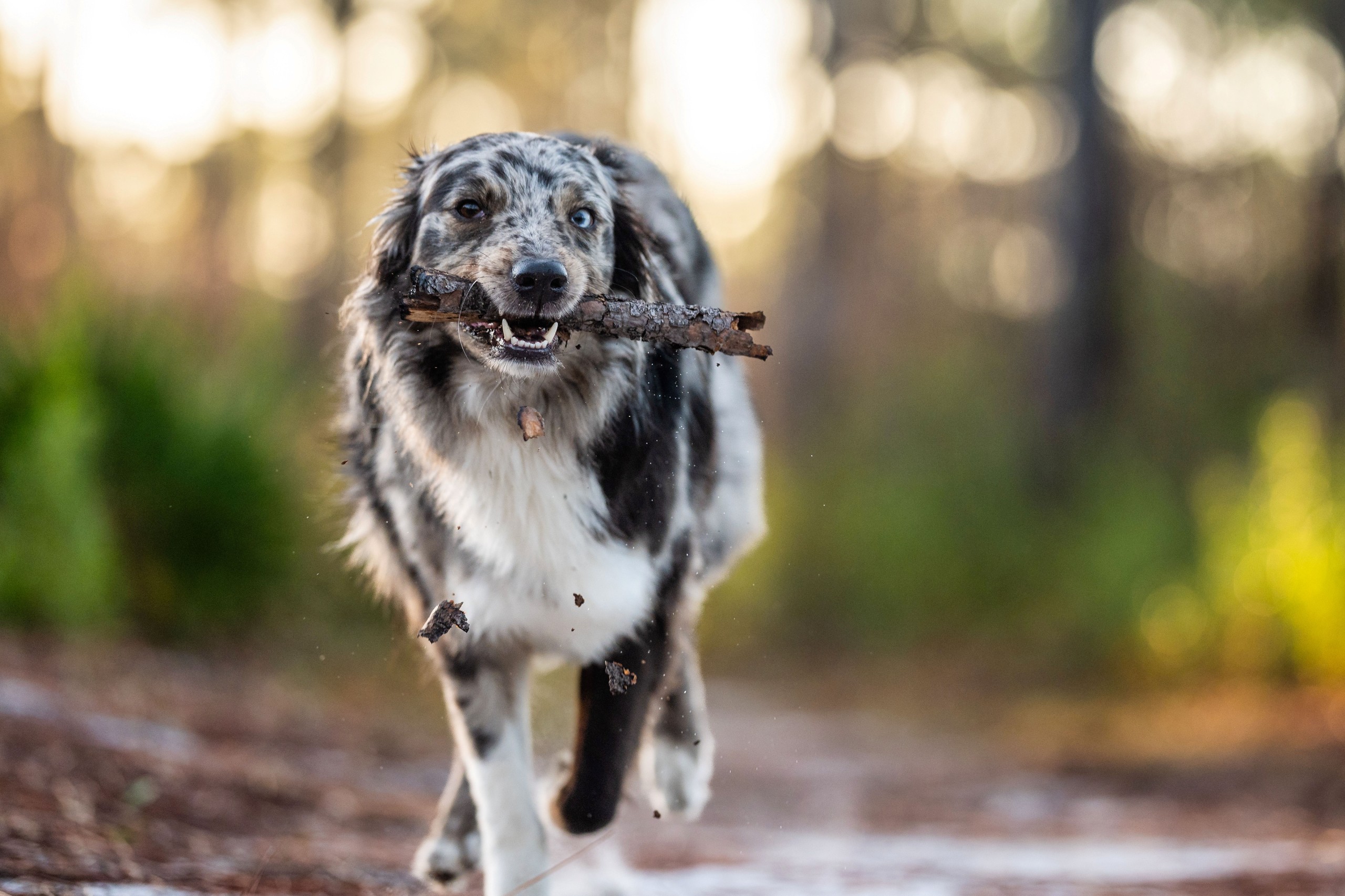 Wirestock Creators/Shutterstock