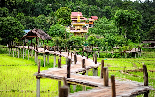 Jarun Permsup / Shutterstock