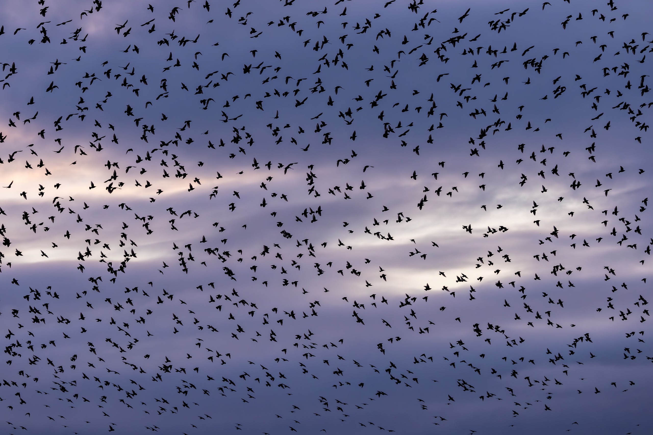 Melanie Hobson/Shutterstock