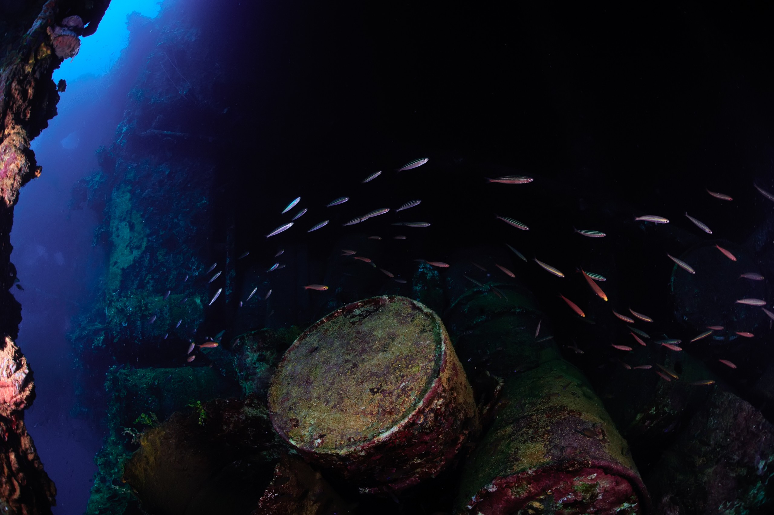 Kondratuk Aleksei / Shutterstock