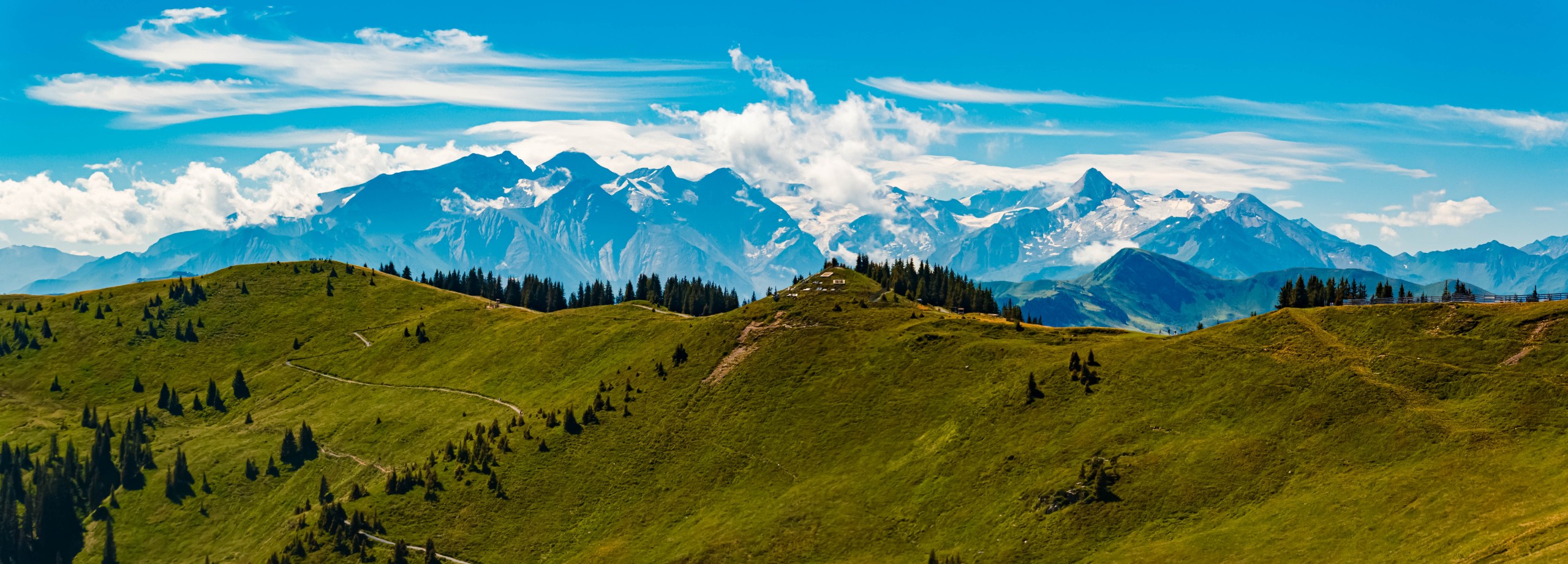 Martin Erdniss / Shutterstock