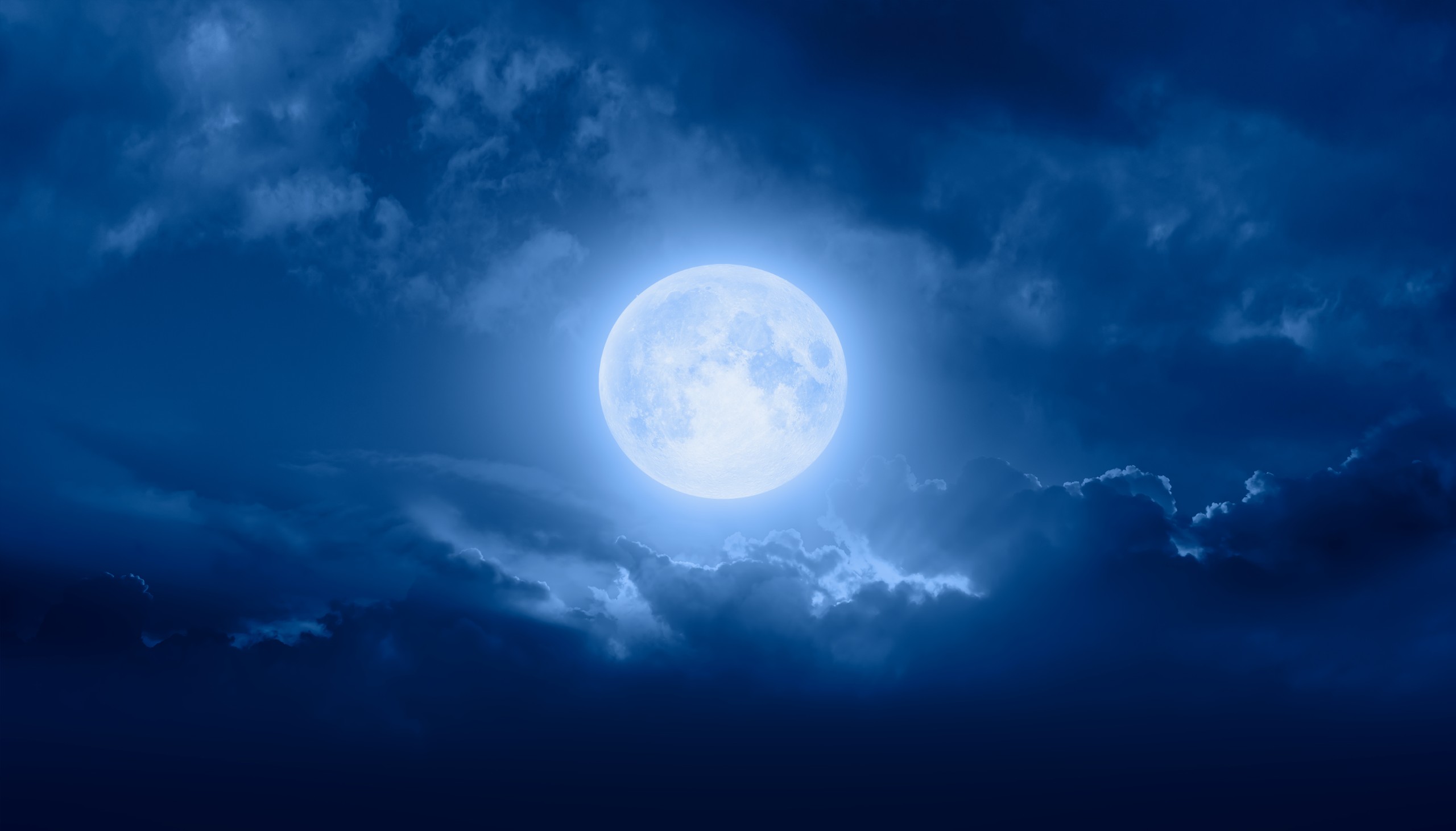 muratart / Shutterstock