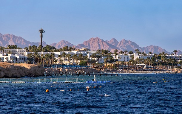 Marius Dobilas / Shutterstock