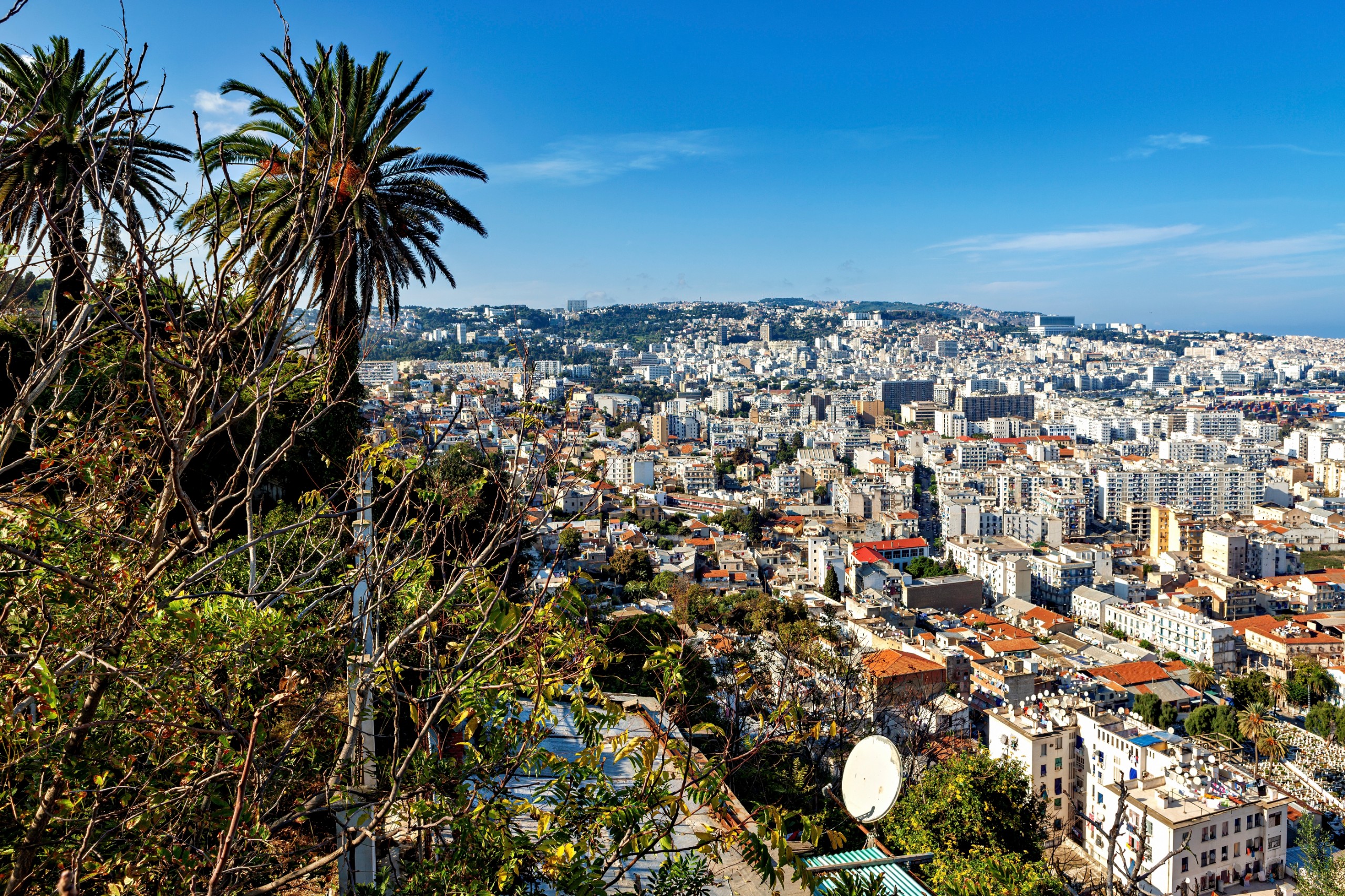 hecke61/Shutterstock