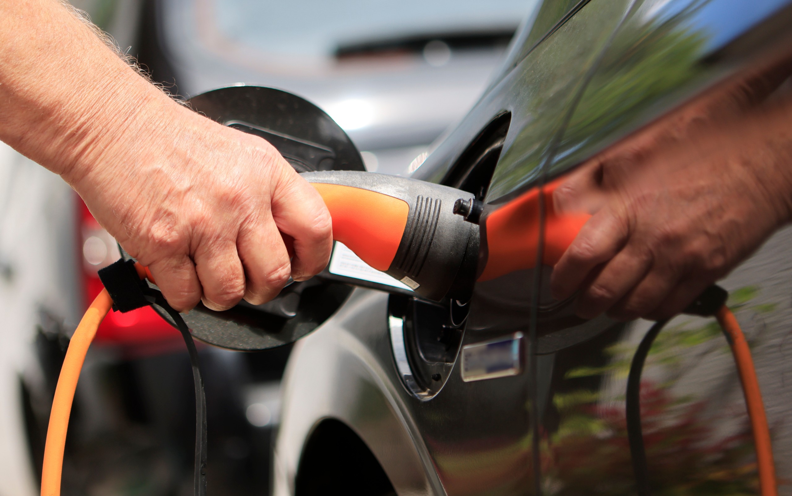 Marc Stephan/Shutterstock