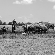 Jennifer White-Miller/Shutterstock