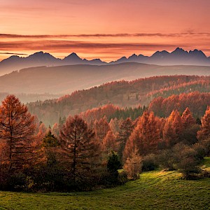 Borievky / Shutterstock