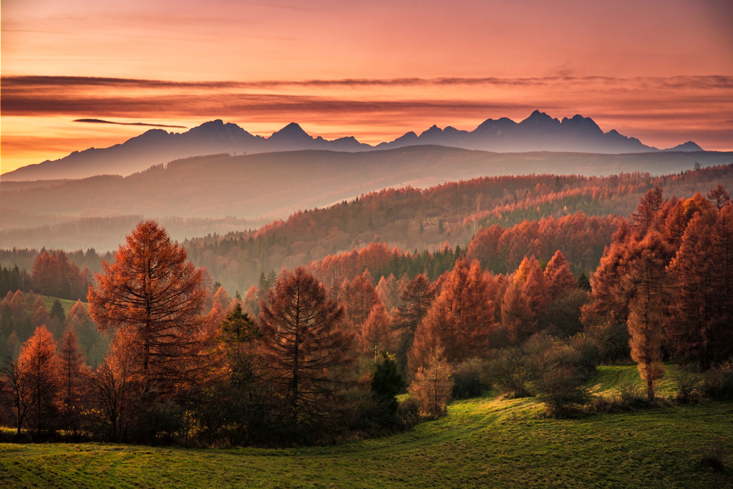 Borievky / Shutterstock