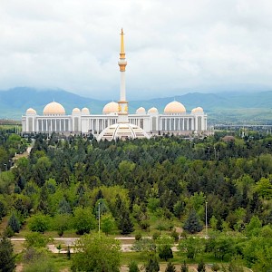 Rini Kools / Shutterstock