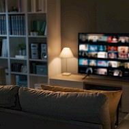 Stokkete / Shutterstock