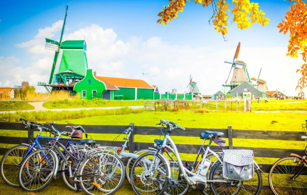 Neirfy/Shutterstock