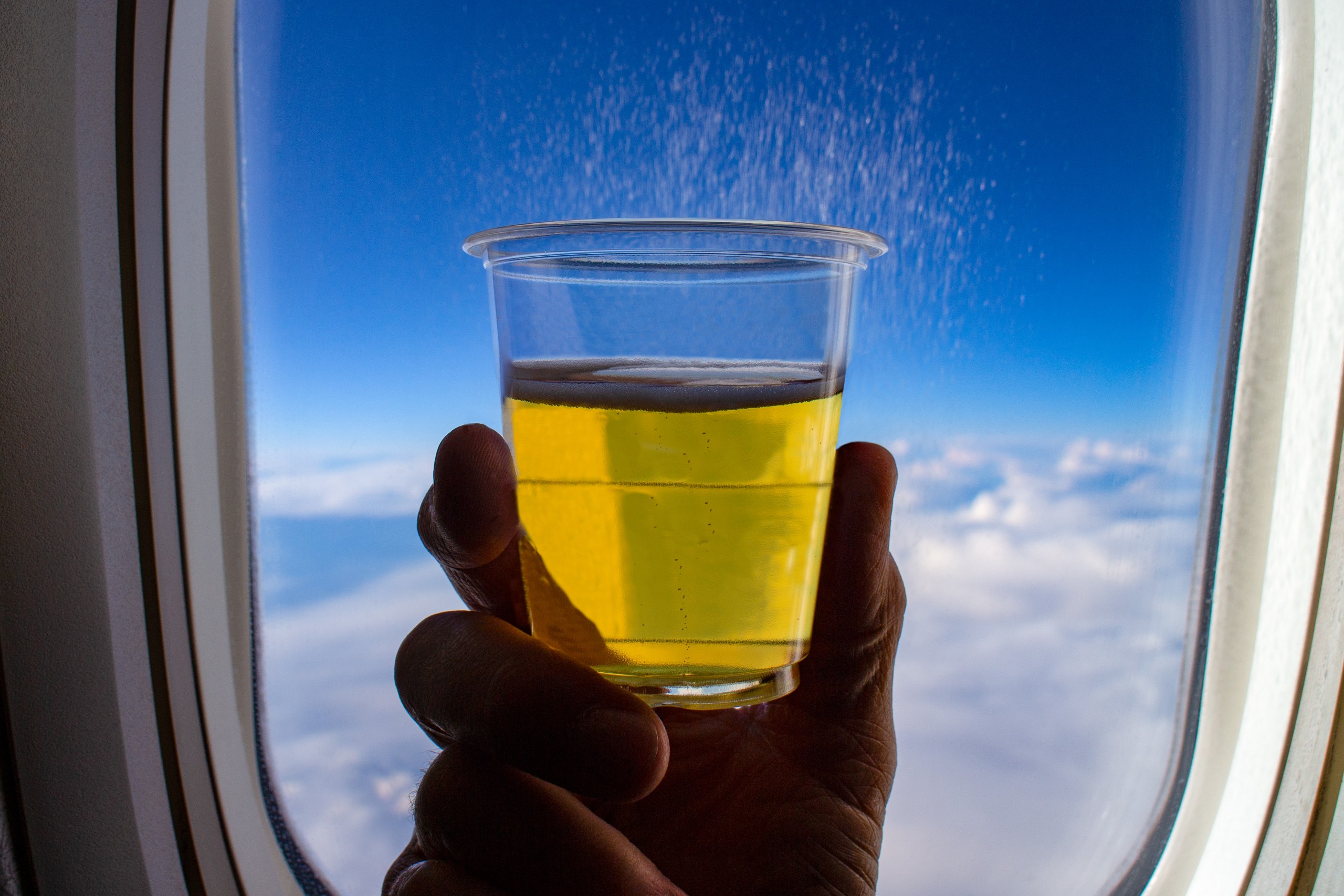 Tom Clausen / Shutterstock