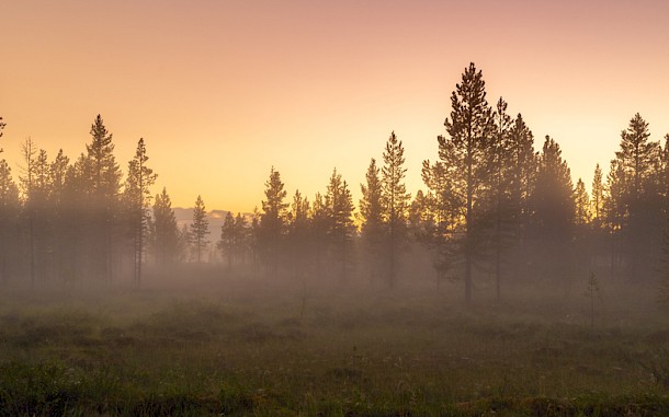 Finn stock / Shutterstock