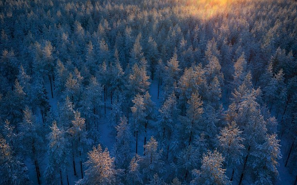 AlexDreamliner / Shutterstock