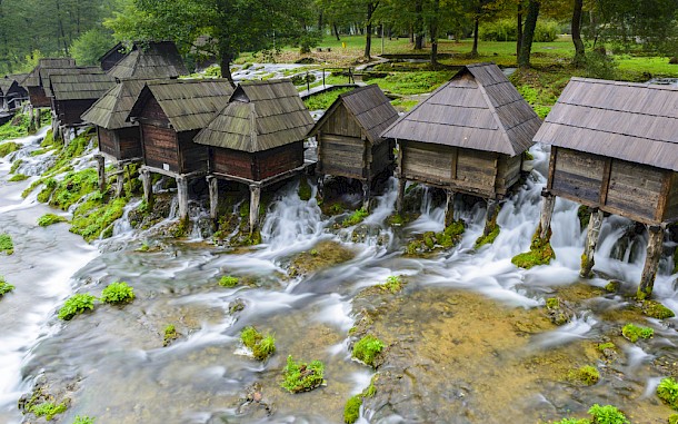 Alberto Loyo / Shutterstock