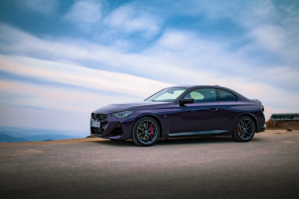 Gabriel Nica / Shutterstock