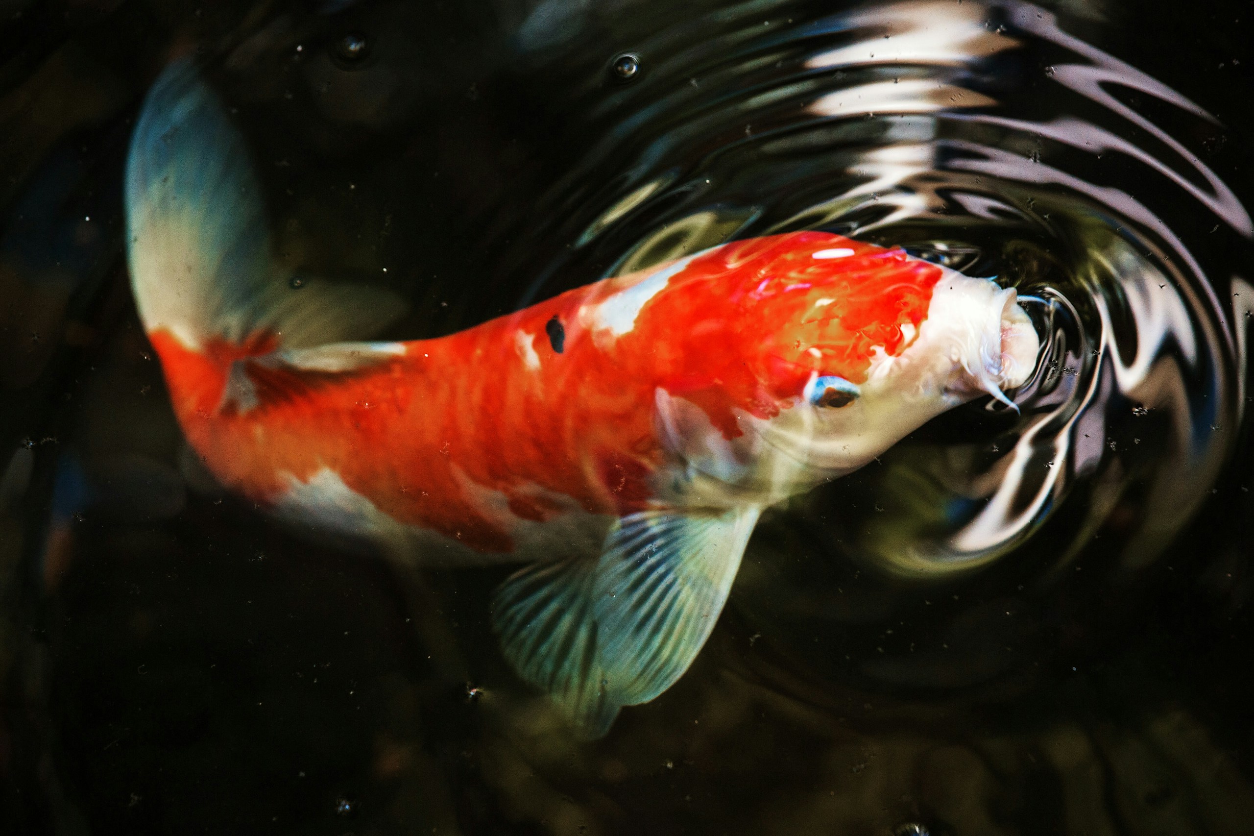 Jason Leung/Unsplash