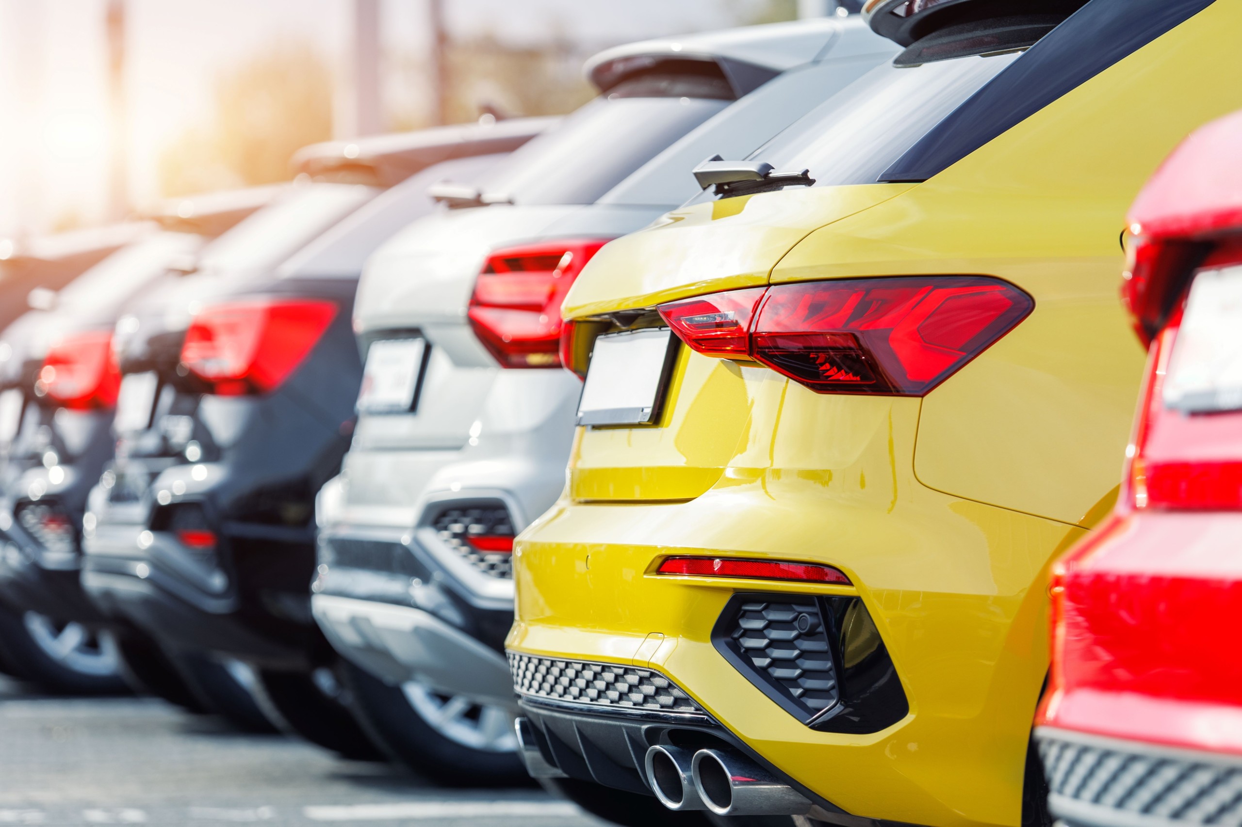 K-FK/Shutterstock.com